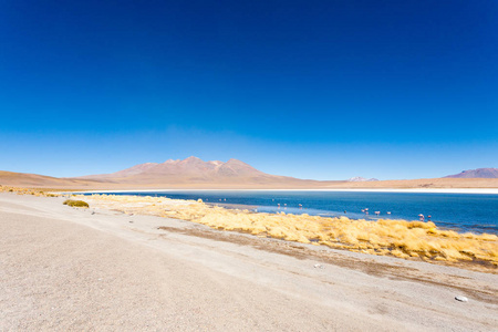拉古纳卡纳帕科波利维亚。 美丽的玻利维亚全景。 蓝水泻湖