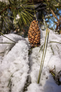 一月雪游艇俱乐部DNIPRO乌克兰