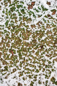 冬天花园草地上的一层白雪