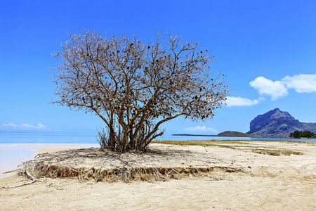 毛里求斯岛美丽的海滩