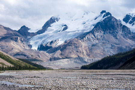 加拿大落基山脉贾斯珀国家公园冰原公园的岩石河冻土带