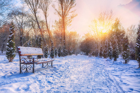公园长凳和被大雪覆盖的树木。 很多雪。 日落