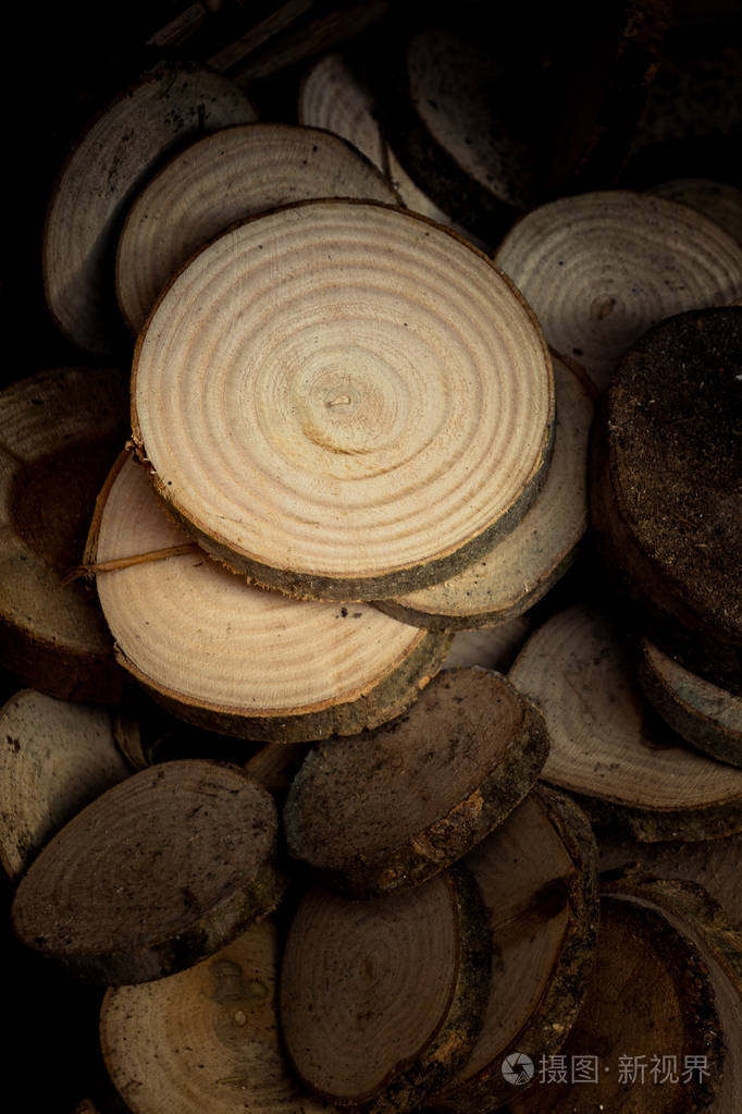 在白色背景上切成圆形薄片的木头原木