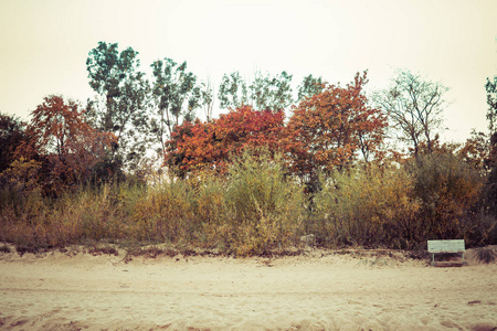 沙滩，有长凳，小树，秋天有红色和金色的叶子