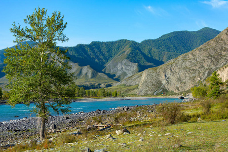 卡顿河风景如画的海岸，阿尔泰共和国的阿尔古特集群