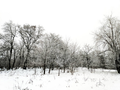 冬天的风景河流上的冰雪图片