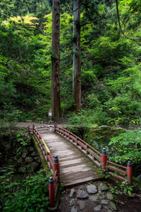 日本山区，环境清新