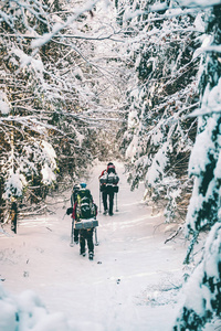 冬天的朋友在山上徒步旅行。旅行者走在一条雪林小径上。三个朋友带着背包，徒步杆和雪鞋爬到山顶。女人和男人在攀登。