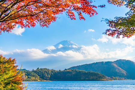 日本大林湖边枫叶树的富士山美景