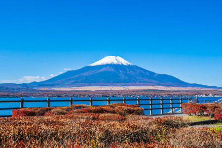 日本雅明子湖周围富士山的美丽景观