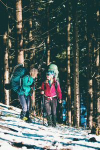 两个女人在冬季远足。 带着徒步旅行杆的女朋友在白雪覆盖的山路上。 带背包和雪鞋的女孩一起旅行。 朋友在阳光明媚的日子穿过杉树林。