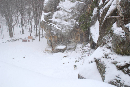 冬天的悬崖。 圣诞树和冷杉。 落下来的雪山和多沃什岩石。 乌克兰