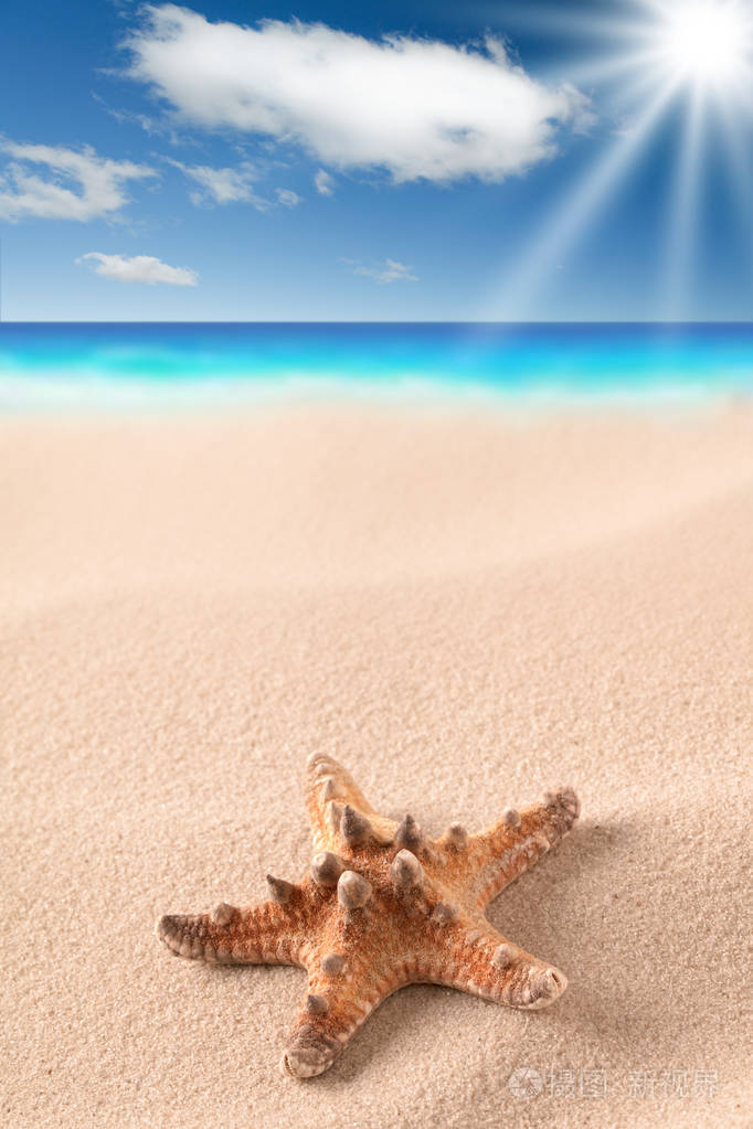 沙滩上的海星星星鱼在沙子里背景是云和海暑假假期