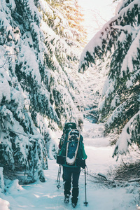 两个女人在冬季远足。 带着徒步旅行杆的女朋友在白雪覆盖的山路上。 带背包和雪鞋的女孩一起旅行。 朋友在阳光明媚的日子穿过杉树林。