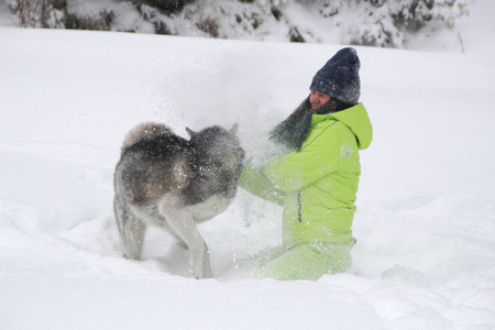 哈斯基在树林里和一个女孩玩。 狗在雪地里跑。 在雪地里淹死在树林里。 哈士奇旅行。 雪和冬天。 和女人玩狗游戏