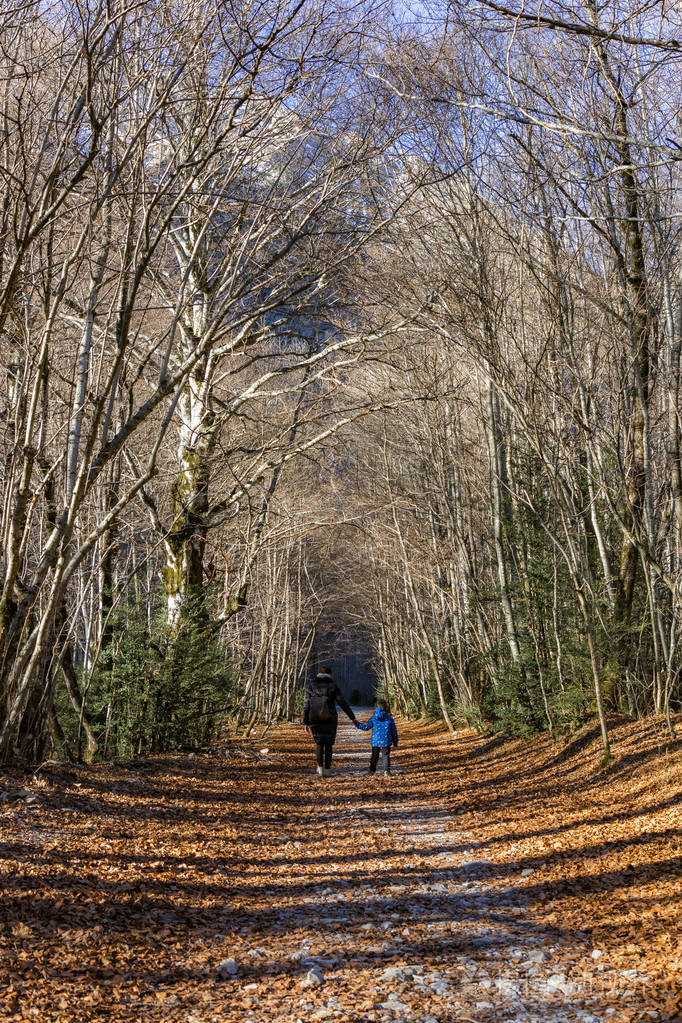 母亲和儿子在森林里散步