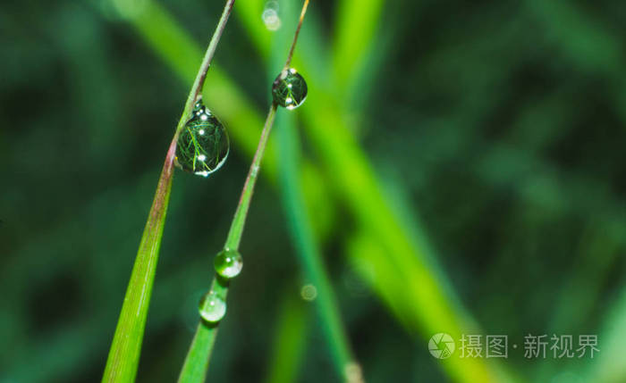 水滴在草叶上，水滴在雨滴上