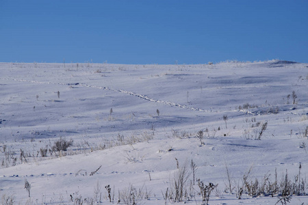 穿过雪面的小路走到山顶