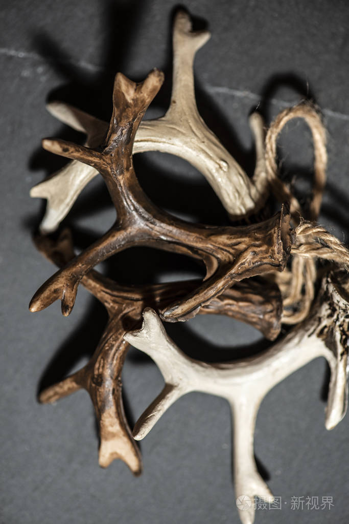 很多鹿角. 来自窗户的自然光. 野生自然和圣诞节的概念.