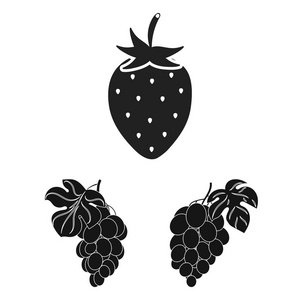 浆果和水果符号的向量例证。收集浆果和红莓股票符号的网络