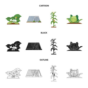 温室和植物符号的孤立对象。网站的温室和花园股票符号收集