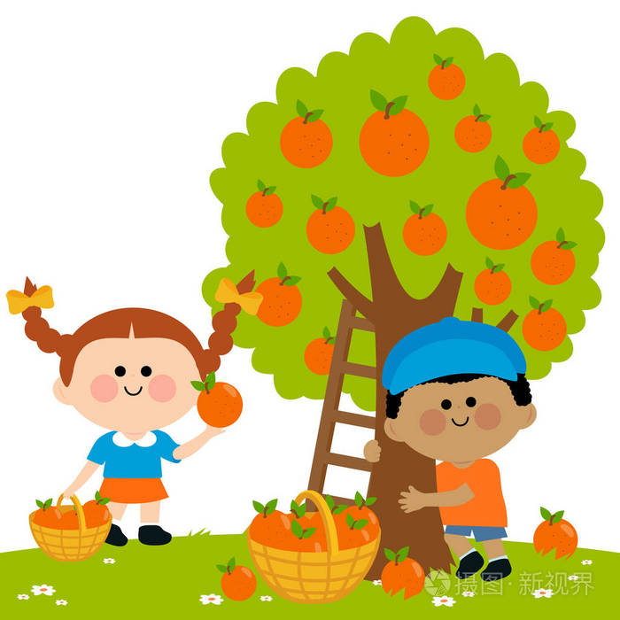 两个孩子,一个男孩和一个女孩在果园树下采摘橘子.
