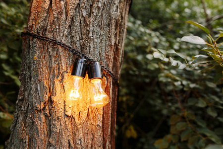 晚上在花园的树上悬挂装饰的室外串灯.照片