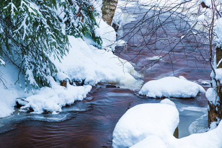 在美丽的冬林里或公园里，在雪冰和吼声下，小溪的景观