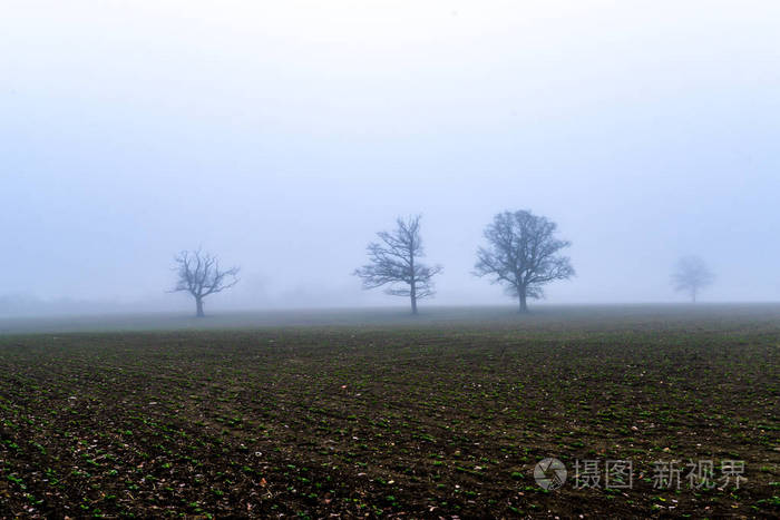 英国北安普敦郡伍德恩德的一个乡村场景