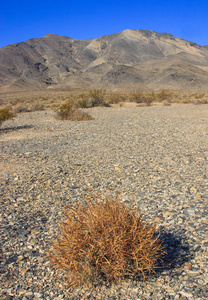 沙漠景观。 山区山谷中开裂的土干粘土沙漠。 美国加州死亡谷国家公园