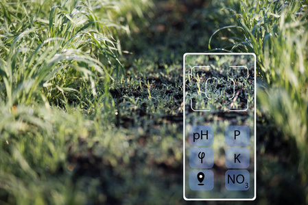 借助智能手机确定土壤的状态 酸度湿度磷钾硝态氮。农业技术