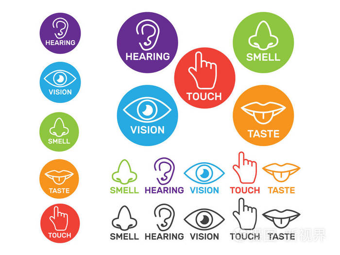 五感矢量图标设置孤立的白色嗅觉和听觉