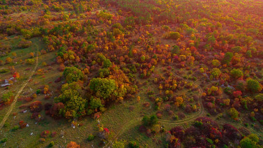 喀斯特上的秋天颜色。 空中无人机图像秋季彩色树木在森林日落。