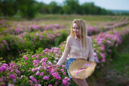 美丽的年轻温柔的女人走在茶玫瑰场。 穿牛仔裤和复古帽子的金发女士享受夏日。