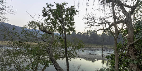 印度吉姆科贝特国家公园拉姆冈加河日落