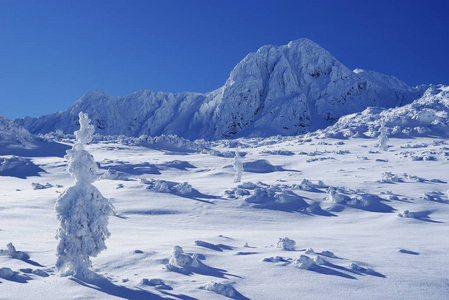 冬季高山景观在国家公园雷特扎特，喀尔巴阡山，罗马尼亚，欧洲。白雪覆盖了山野风景。