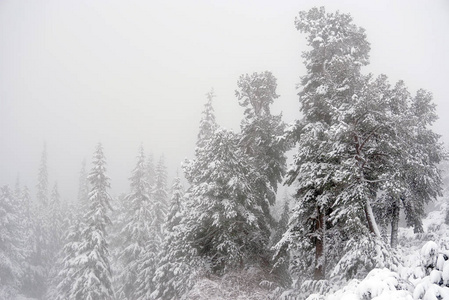 冬季高山景观在国家公园雷特扎特，喀尔巴阡山，罗马尼亚，欧洲。积雪覆盖的森林景观..