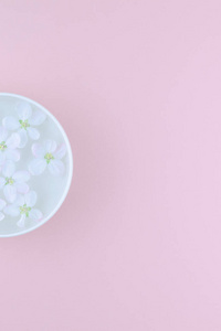 创意平面布局概念顶部的香气碗与水和白色春天开花苹果树花在粉彩纸背景和复制空间的最小风格模板文本。