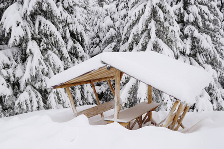 罗马尼亚国家公园里的冬季高山景观。 白雪覆盖的森林景观。