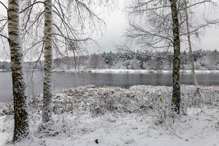 森林中的白色冬季景观湖。