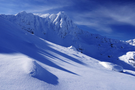 罗马尼亚国家公园里的冬季高山景观。 白雪覆盖的风景。
