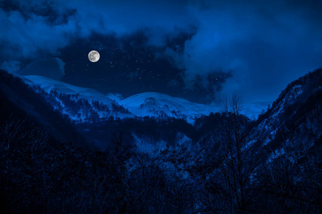 有月亮的美丽的雪夜景观照片
