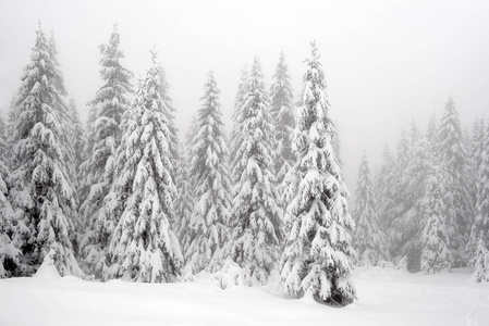 罗马尼亚国家公园里的冬季高山景观。 白雪覆盖的森林景观。