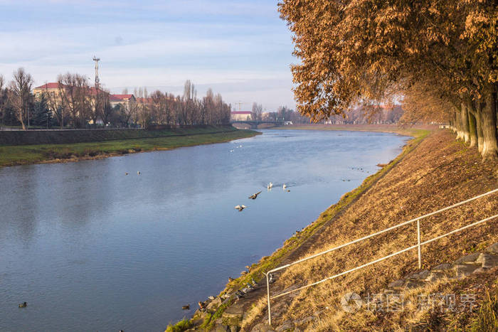 下载小样发票合同问题/举报美丽树木河流河岸景观带湖的绿色公园.