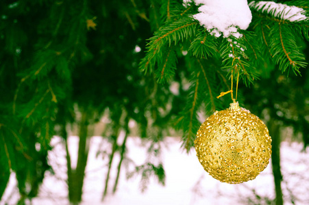 美丽的节日优雅的黄色, 金色的圆球, 新年的圣诞装饰, 圣诞节挂在冷杉树枝上的白色雪的背景下, 在冬天的白雪