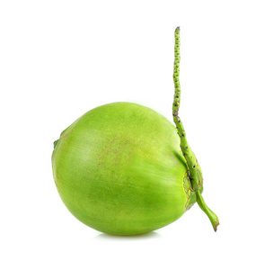 椰果绿色椰子白色背景
