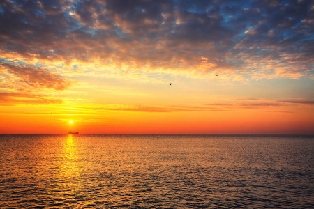 大海上美丽的日出。 飞鸟飞过平静的水。