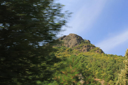 大自然中的植物美天山日无人生长宁静岩绿色风景宁静景地