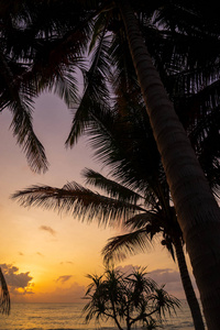 泰国KohSamui岛的海上日出。