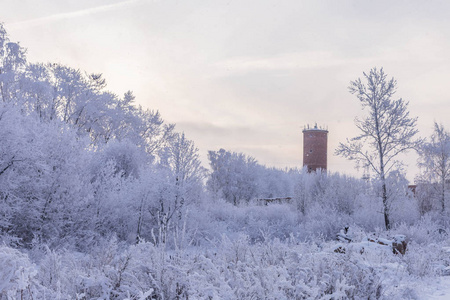 在白雪覆盖的树木和冬天的天空的背景下，古老的水塔